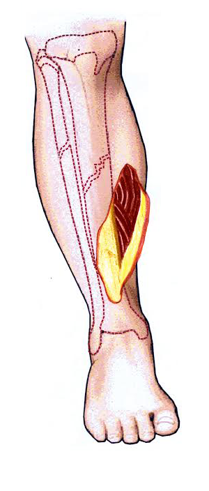 skin3